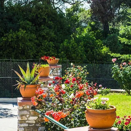 Gem * Moni Evaggelistrias